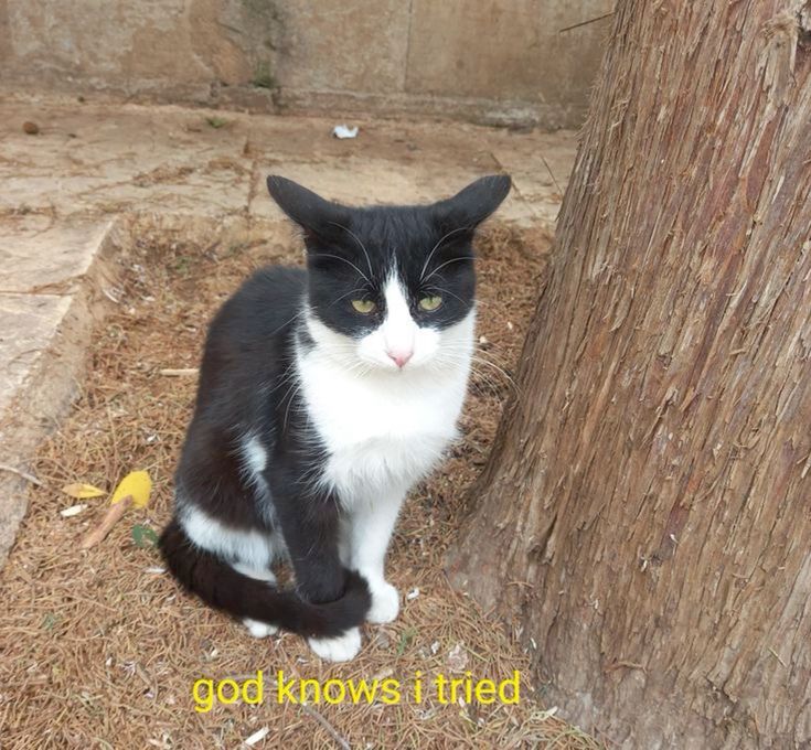 F42ca1e76e8555aee328cb085795aeed